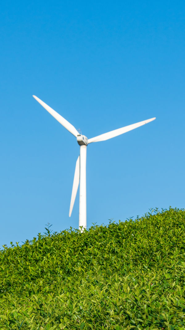 Wind Energy Evolution