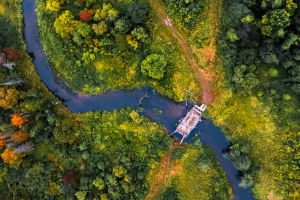 Rivers: Vital Ecosystems