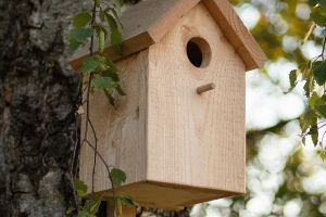 Artificial Nests
