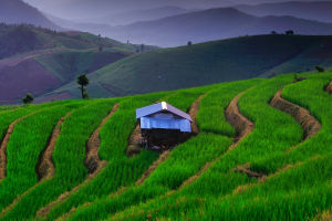 Unveiling Terraced Landscape