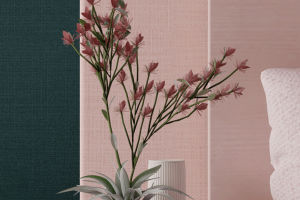 Dreamy Designs