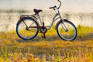 Bicycle Evolution