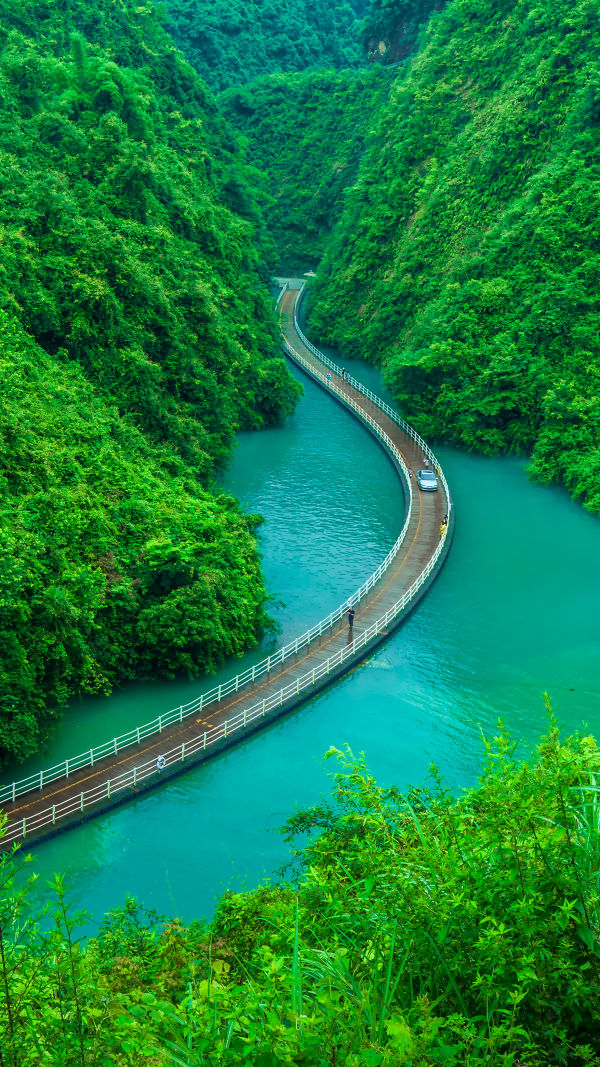 Scenic Road Journeys