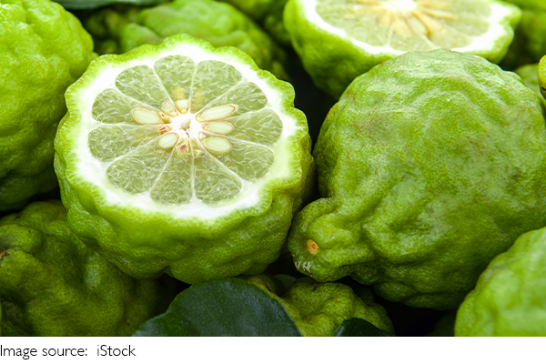 Manfaat Selai Bergamot