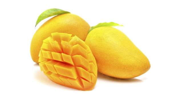 Buah mangga terbukti dapat membantu menjaga bakteri baik di usus agar tetap hidup.