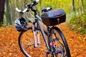 Effortless Pedaling