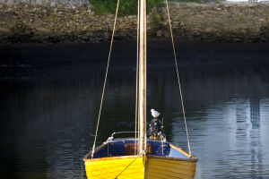 Sailing Through Diversity
