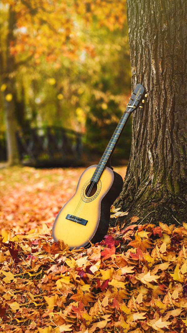 The Musical Divide