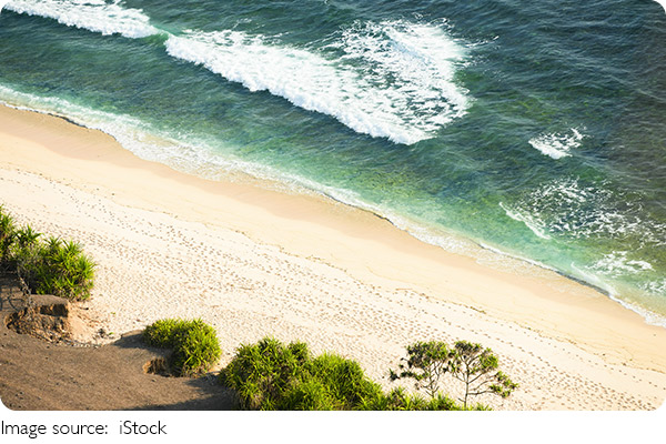 Easy Days in Rosario