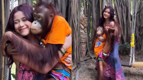 Jodie memperlihatkan momen menggendong si orangutan