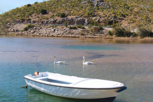 Gillnet Fishing Basics