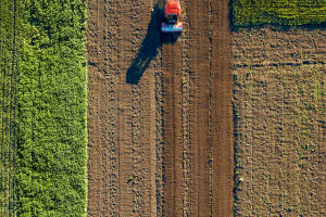 Evolution Of Seeders