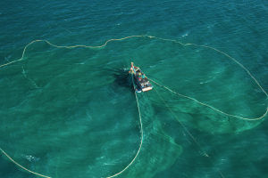 Norwegian Fishing Prosperity