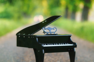 Echoes of Keys