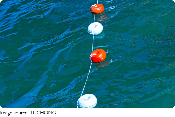 Suyun Sessiz Rehberleri