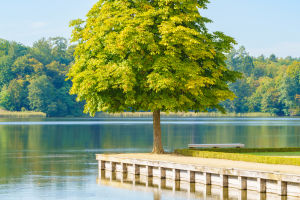 World Earth Day