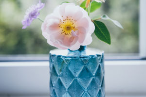 Glass Oasis
