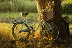 Guide to a Perfect Picnic