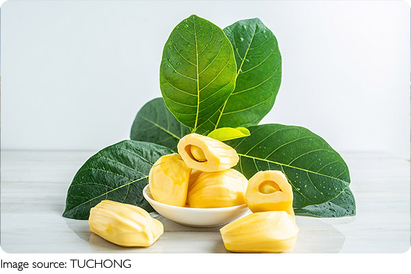 Boost Your Immunity