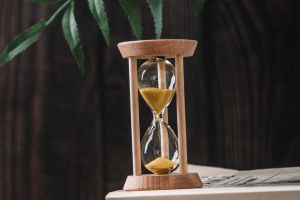 Hourglass Evolution
