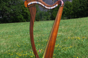 Harp's Musical Journey