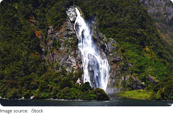 Vẻ Đẹp Của Milford Sound