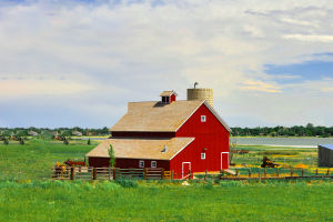 American Farm Life