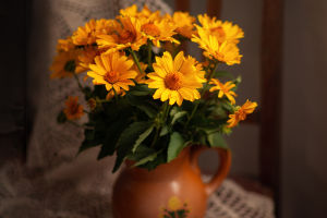 Flower Arranging Tips