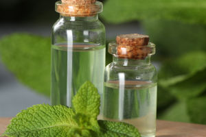 Peppermint Essential Oil