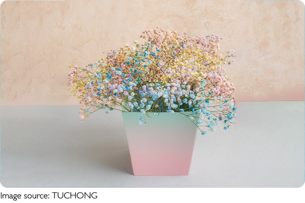 Plant Design Magic