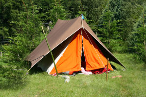 Mosquito-proof Camping Guide