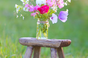 Bloom for Longer