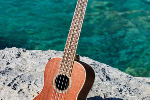 Ukulele? Hit the Strings!