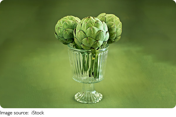 Cara Menanam Artichoke