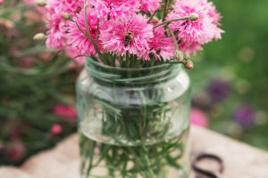 The Meaning of Flowers