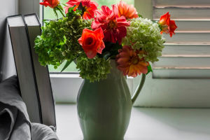 Care For Flowers