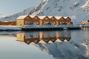 Norwegian Winter Joy
