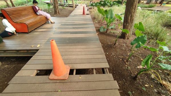 Salah satu pohon tumbang di Tebet Eco Park, Jakarta Selatan (Jaksel), menimpa warga hingga alami cidera. Fasilitas di Tebet Eco Park juga masih dalam kondisi rusak, Minggu (26/5/2024).