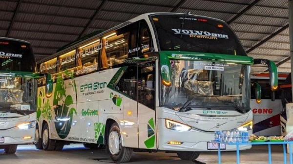 Anda bisa memilih bus EPA Star, Lorena, NPM, Qitarbu, Gumarang Jaya, atau Sembodo menyesuaikan harga dan jadwal keberangkatannya.