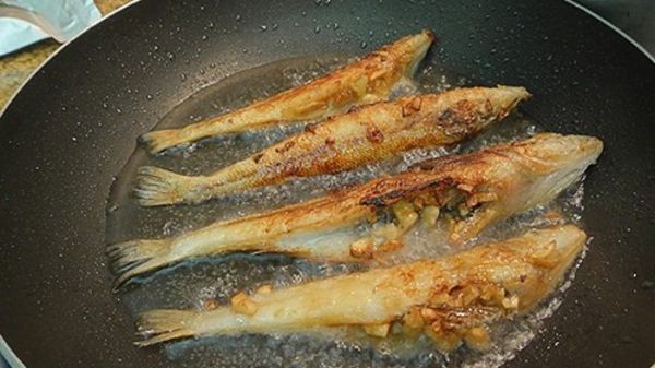 ikan untuk mengobati mata minus