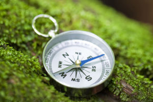 Finding the True North