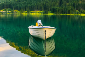 Ripples of Wonder