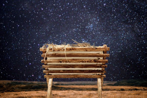 Chasing the Second Earth