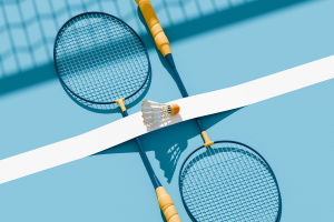 Badminton Flight Dynamics
