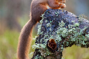 Nature's Tiny Treasures