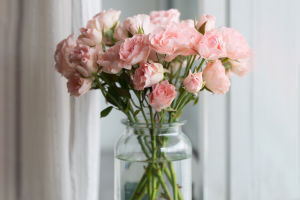 Flower Arrangement Tips