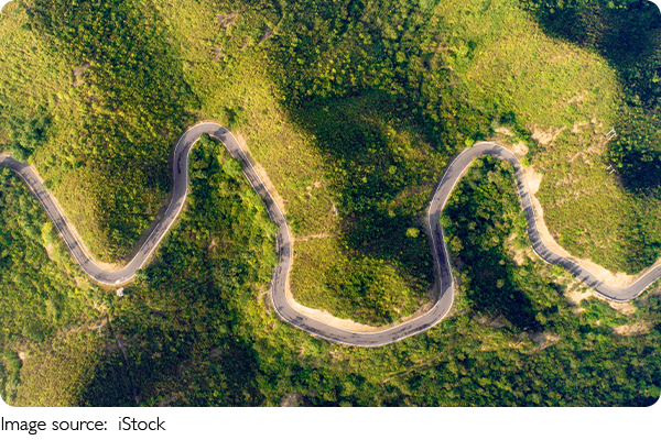 Forests and Climate Change