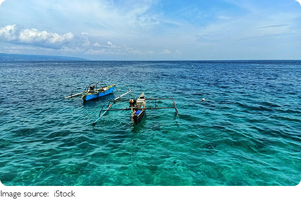 The Polluted Sea