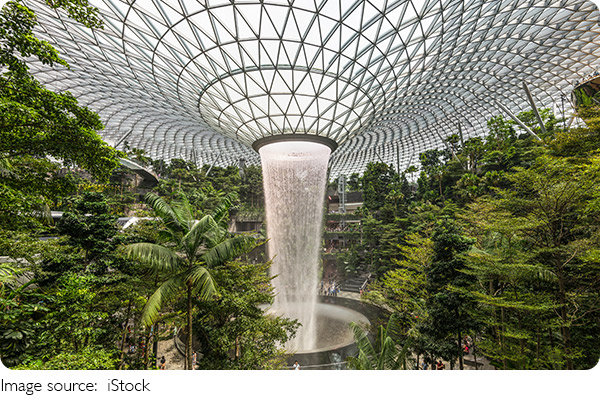 Jardins em Destaque