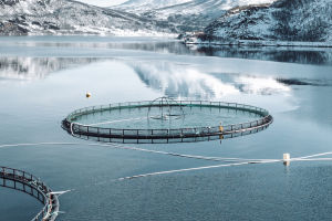 Unmanned Fisheries